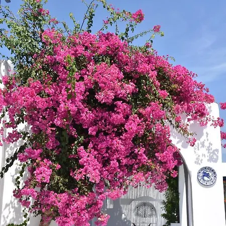 Marina Apartahotel Naousa (Paros)