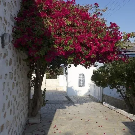 Marina Aparthotel Naousa (Paros)