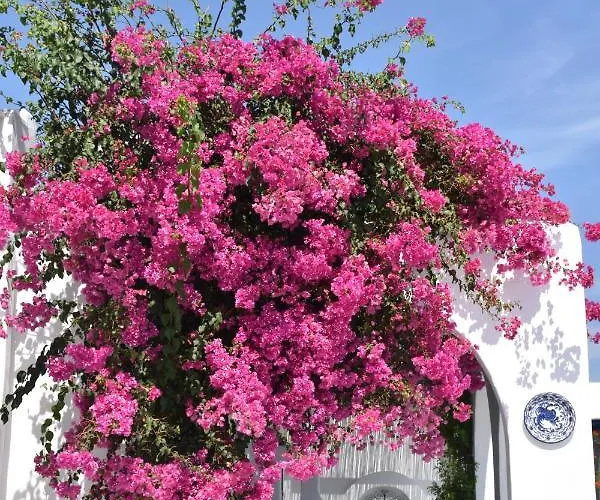 Marina Apartmanhotel Náusza